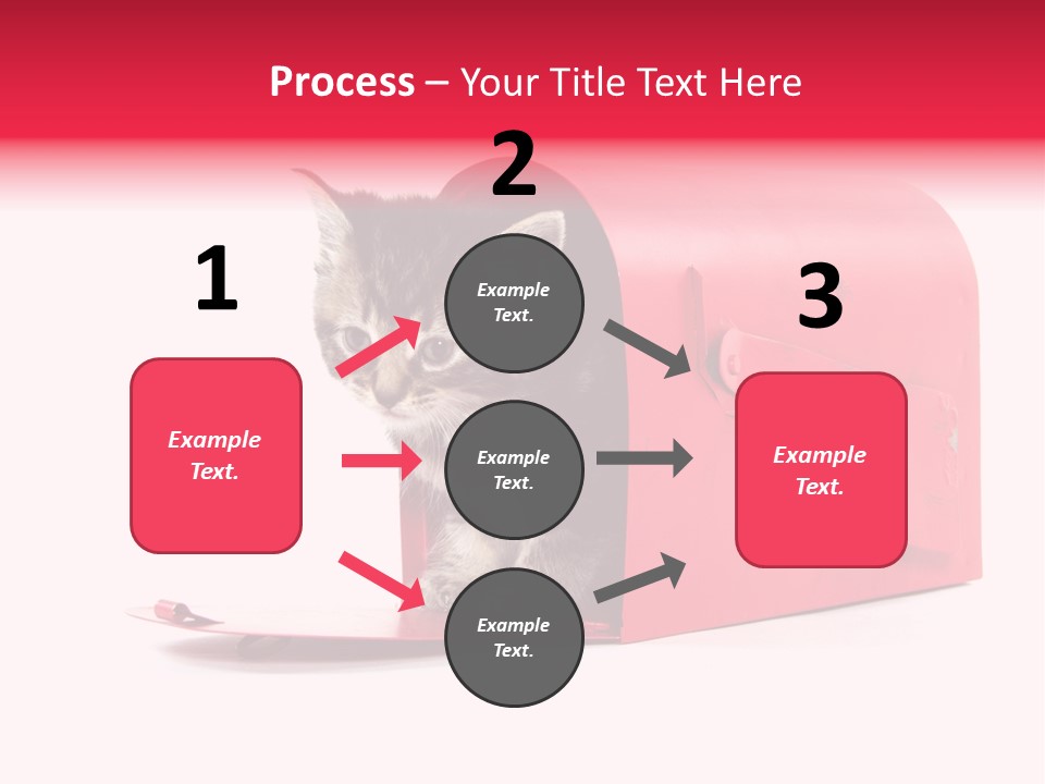 Kitty Single Animal Mammal PowerPoint Template