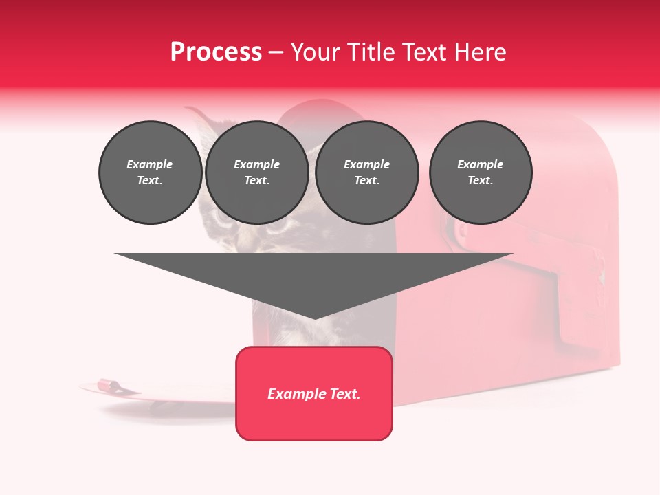 Kitty Single Animal Mammal PowerPoint Template