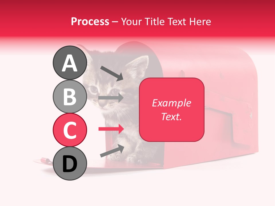 Kitty Single Animal Mammal PowerPoint Template