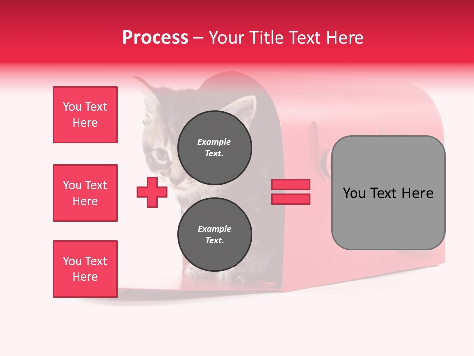 Kitty Single Animal Mammal PowerPoint Template