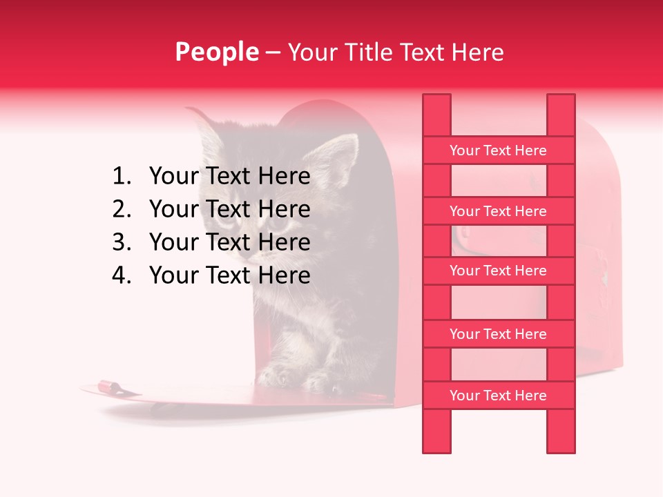 Kitty Single Animal Mammal PowerPoint Template