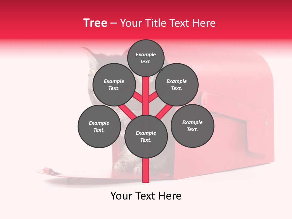 Kitty Single Animal Mammal PowerPoint Template