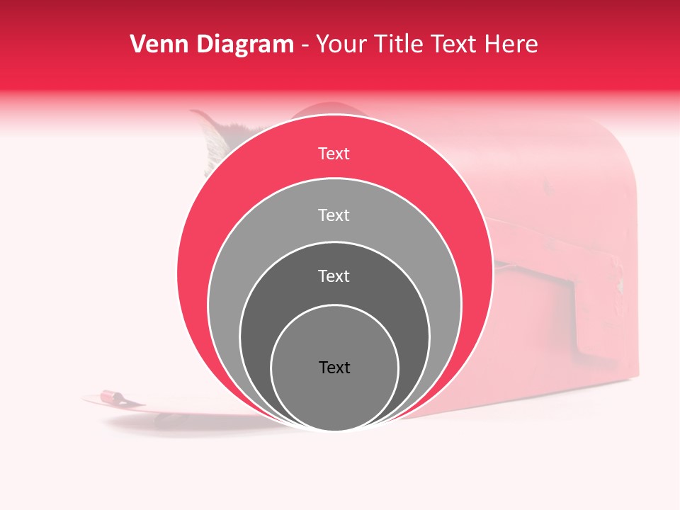 Kitty Single Animal Mammal PowerPoint Template