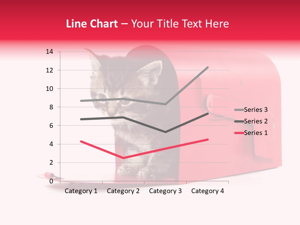Kitty Single Animal Mammal PowerPoint Template