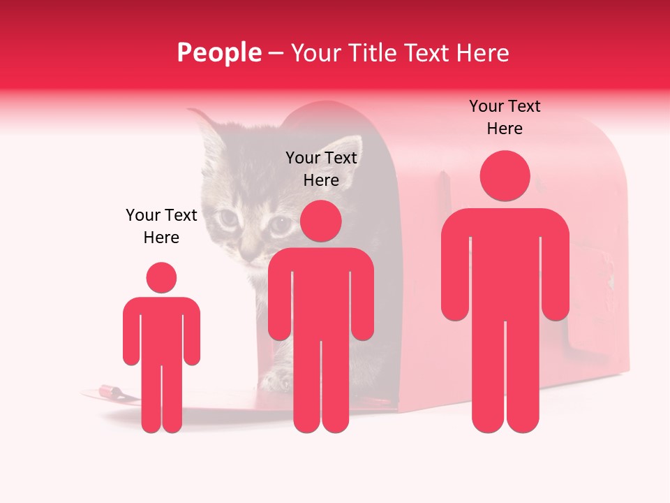 Kitty Single Animal Mammal PowerPoint Template