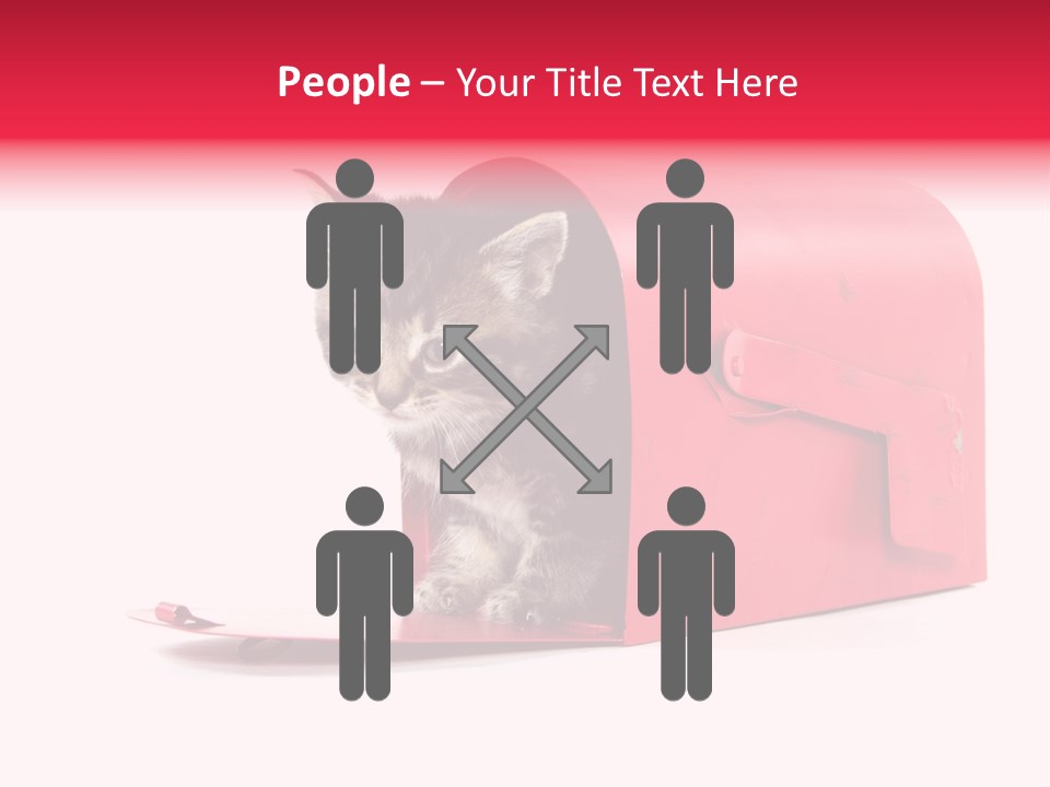 Kitty Single Animal Mammal PowerPoint Template