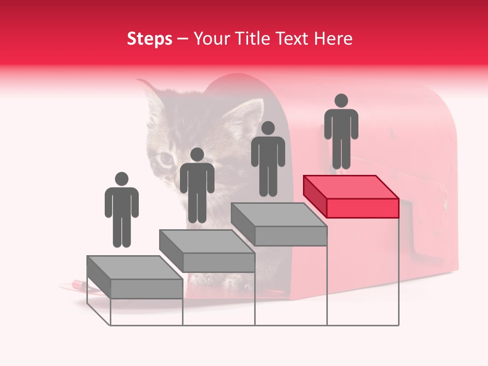 Kitty Single Animal Mammal PowerPoint Template