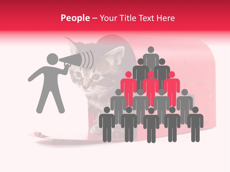 Kitty Single Animal Mammal PowerPoint Template