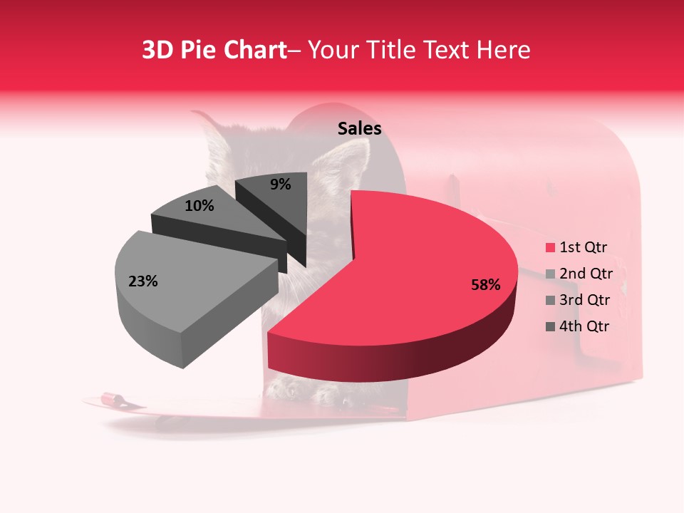 Kitty Single Animal Mammal PowerPoint Template