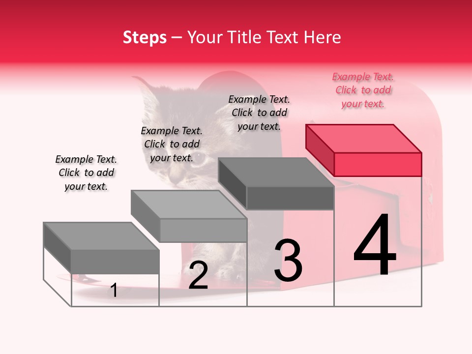 Kitty Single Animal Mammal PowerPoint Template