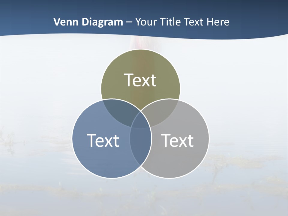 Red Dress Pleasure Sunlight PowerPoint Template