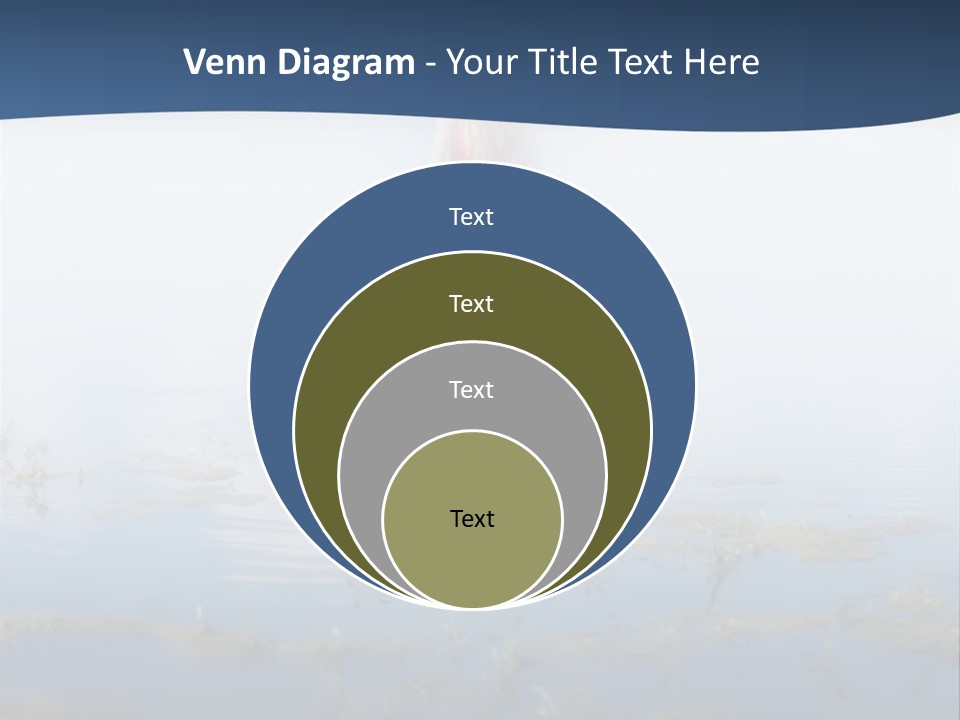 Red Dress Pleasure Sunlight PowerPoint Template