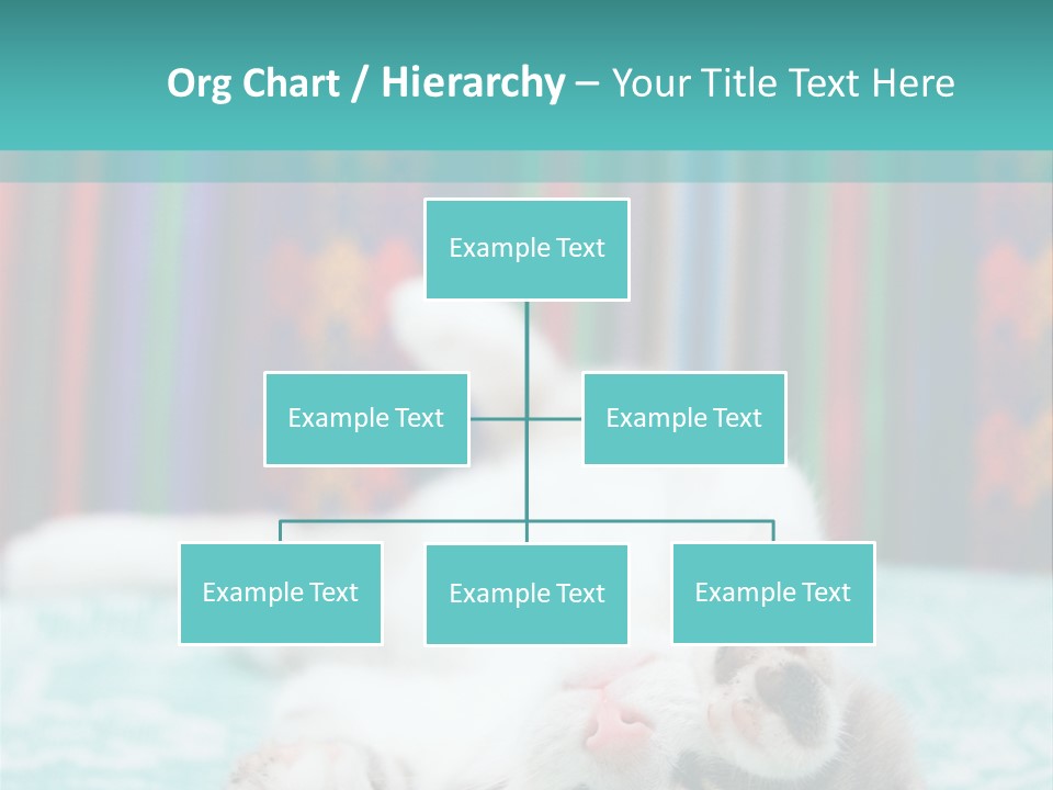 Blue Pet Feral PowerPoint Template