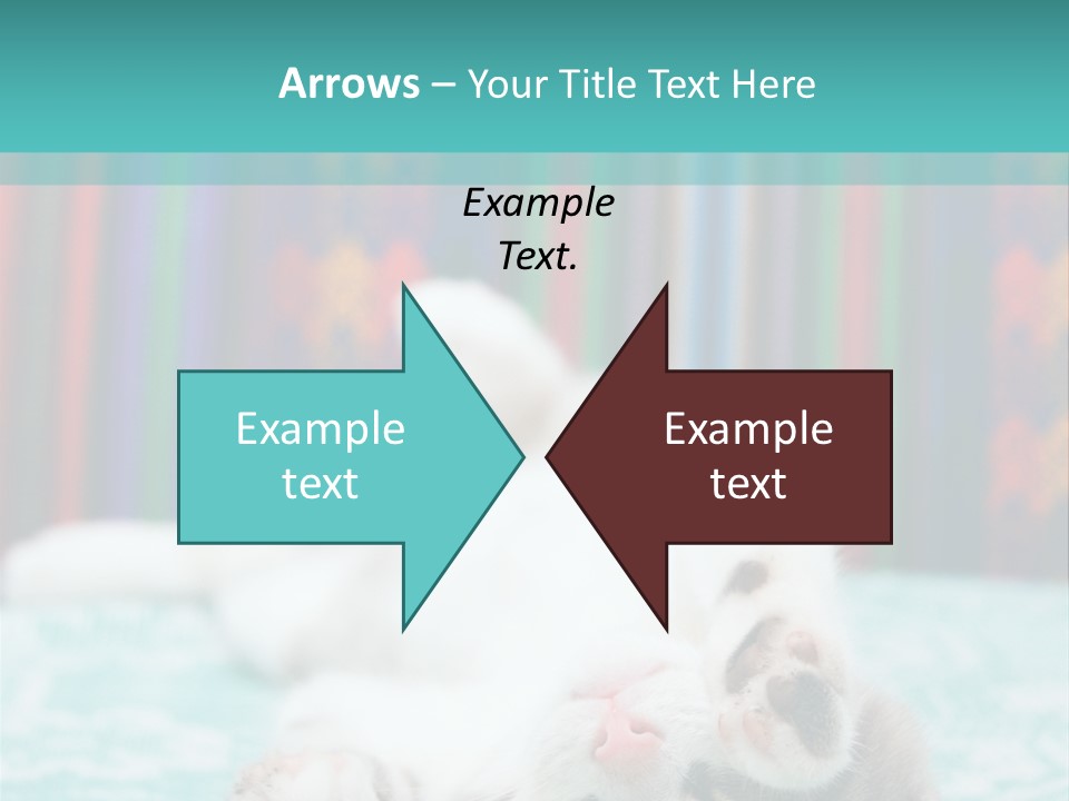 Blue Pet Feral PowerPoint Template
