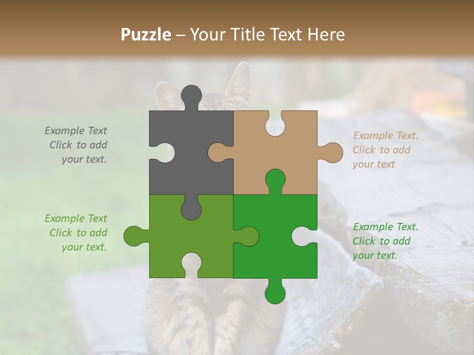 Color Tabby Quiet PowerPoint Template