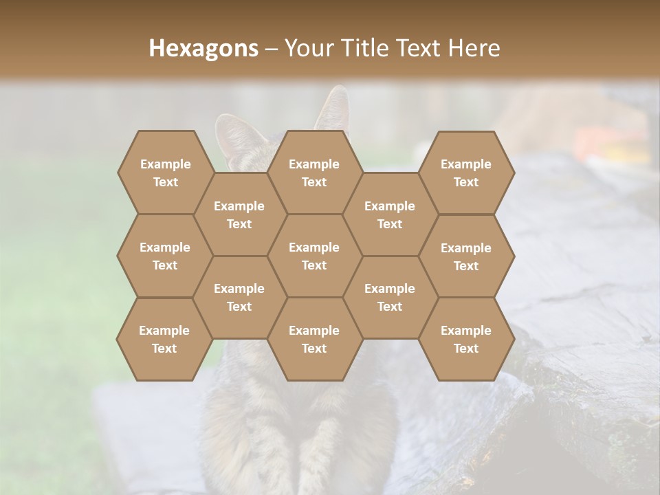 Color Tabby Quiet PowerPoint Template