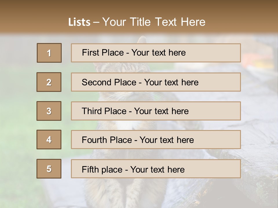 Color Tabby Quiet PowerPoint Template