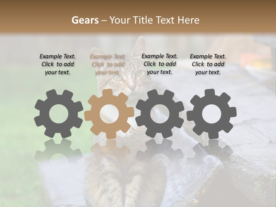 Color Tabby Quiet PowerPoint Template