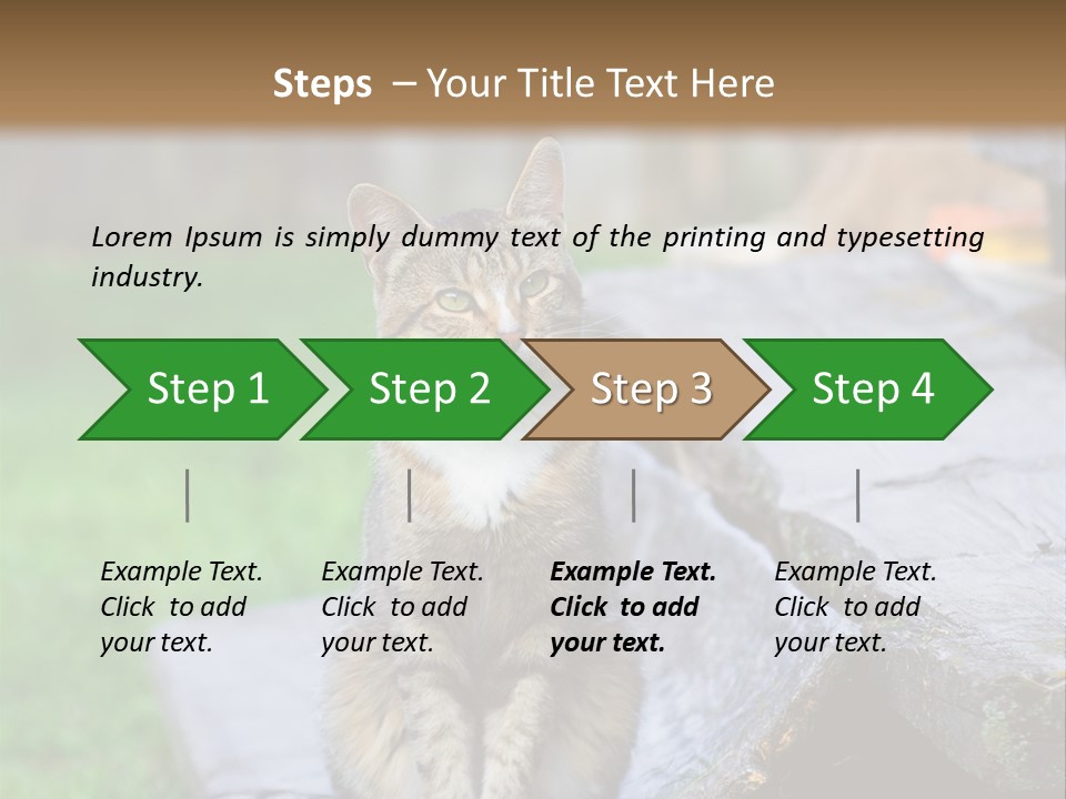 Color Tabby Quiet PowerPoint Template