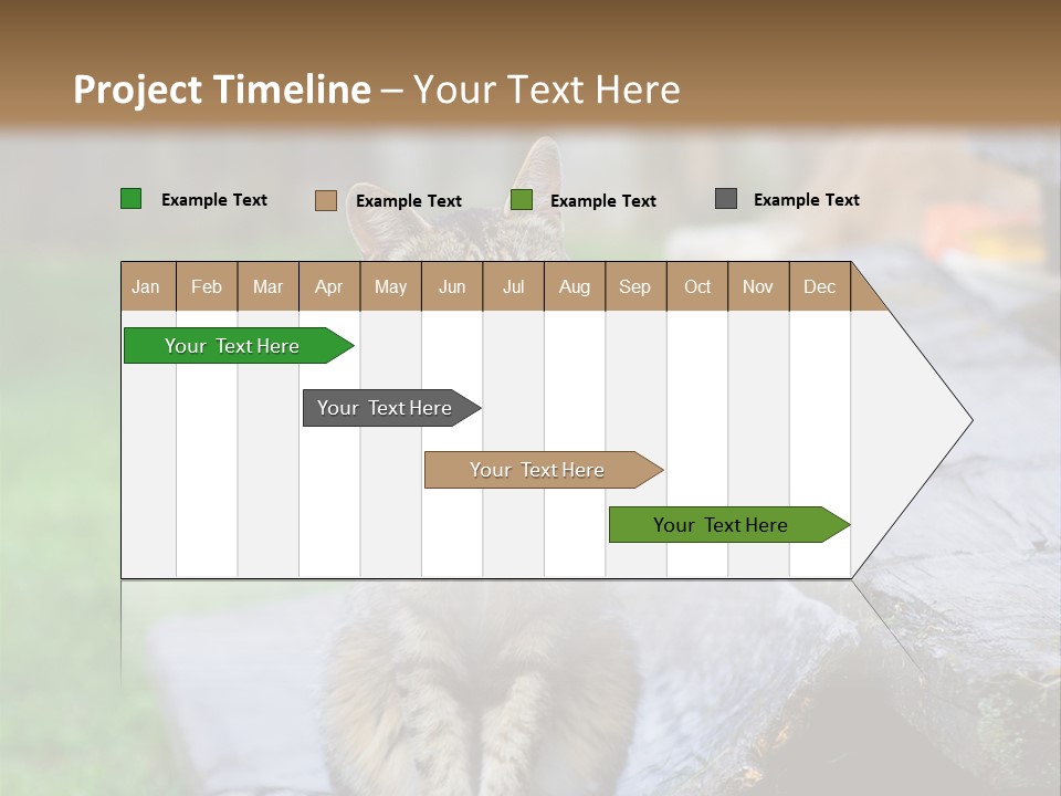 Color Tabby Quiet PowerPoint Template