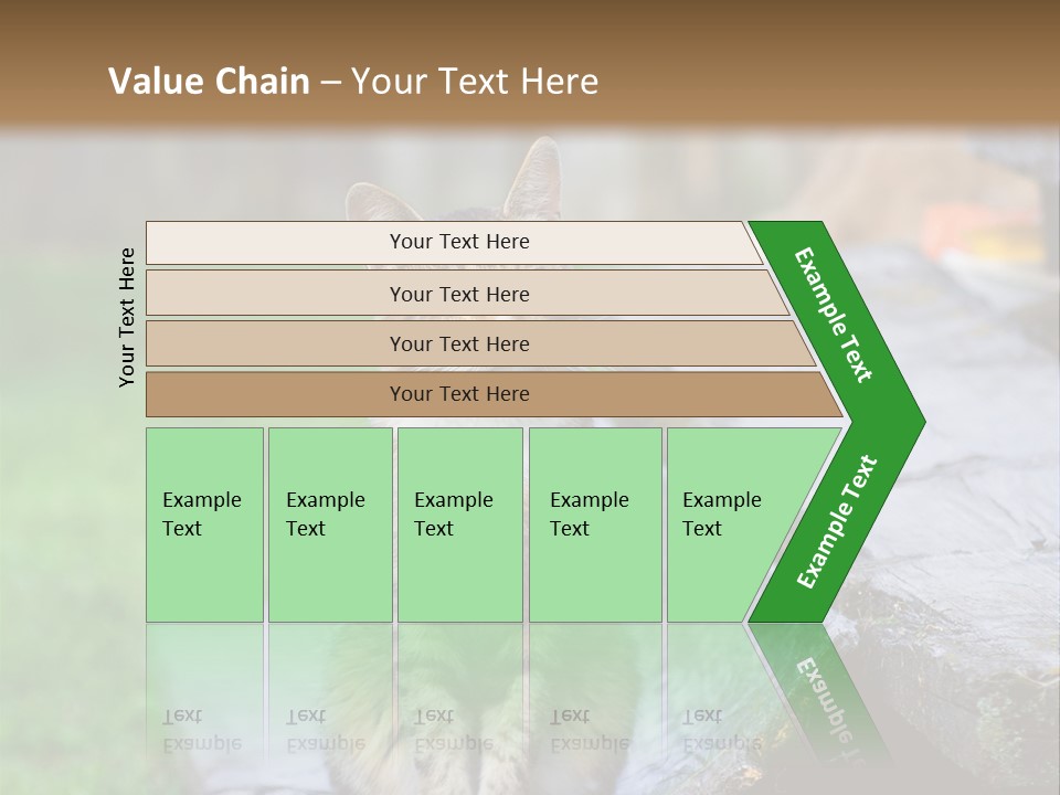 Color Tabby Quiet PowerPoint Template