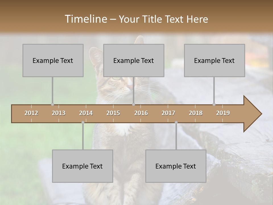 Color Tabby Quiet PowerPoint Template