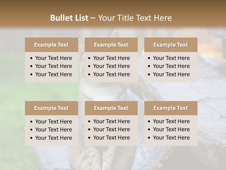 Color Tabby Quiet PowerPoint Template