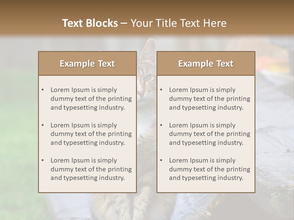 Color Tabby Quiet PowerPoint Template