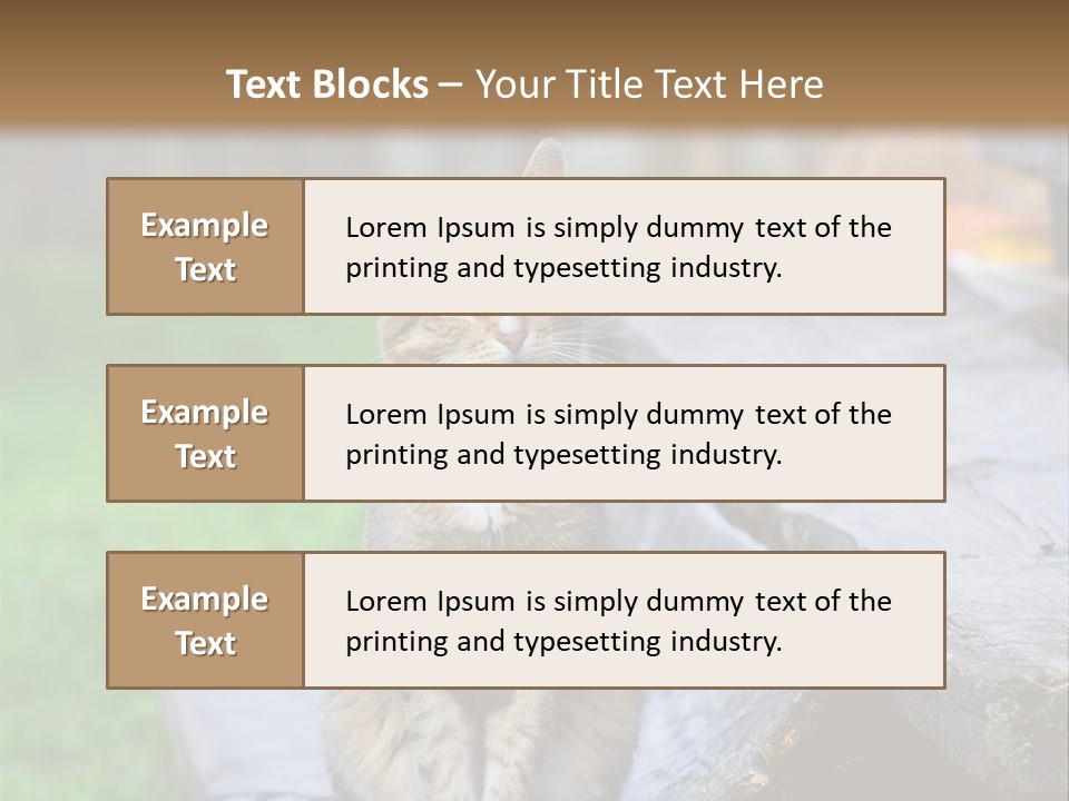Color Tabby Quiet PowerPoint Template