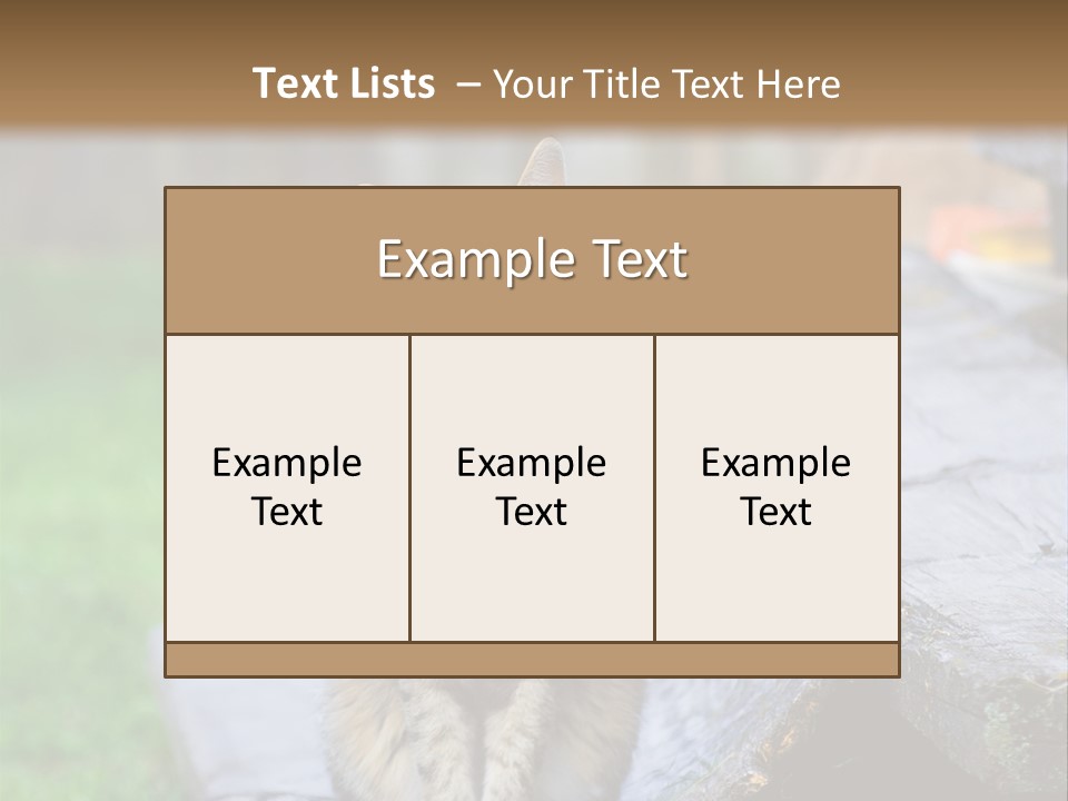 Color Tabby Quiet PowerPoint Template