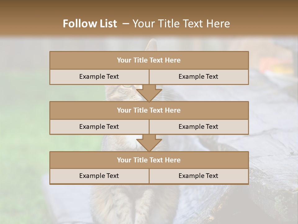 Color Tabby Quiet PowerPoint Template