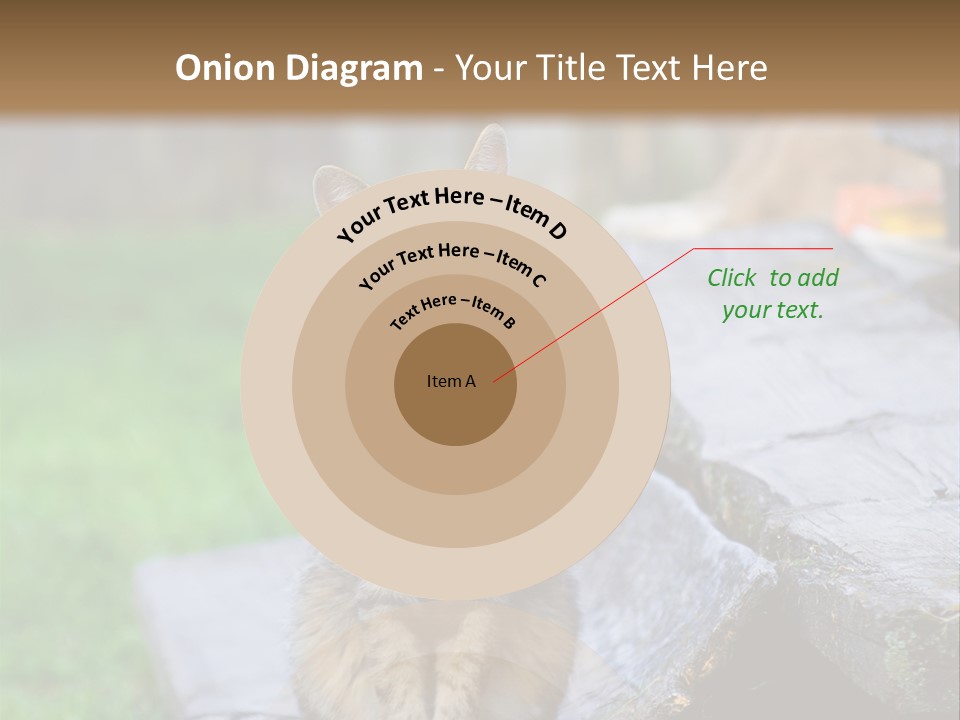 Color Tabby Quiet PowerPoint Template