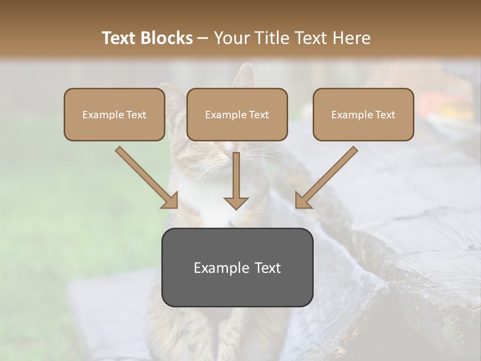 Color Tabby Quiet PowerPoint Template