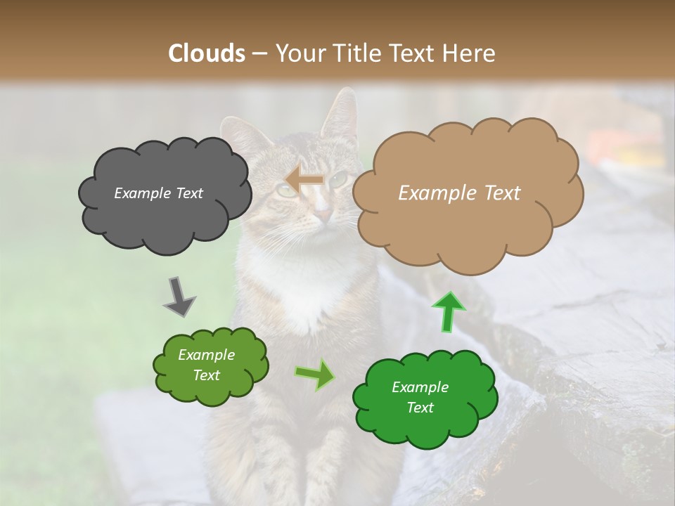 Color Tabby Quiet PowerPoint Template