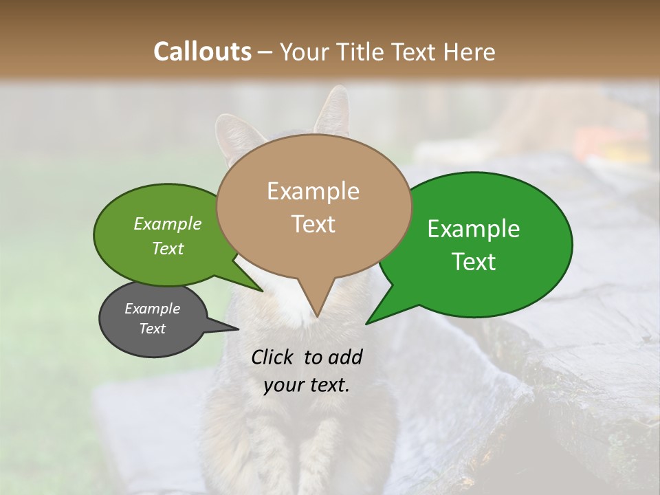 Color Tabby Quiet PowerPoint Template