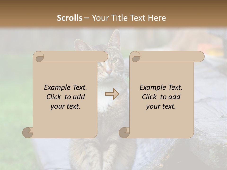 Color Tabby Quiet PowerPoint Template