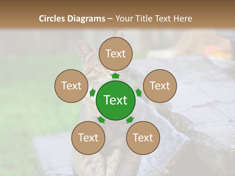 Color Tabby Quiet PowerPoint Template