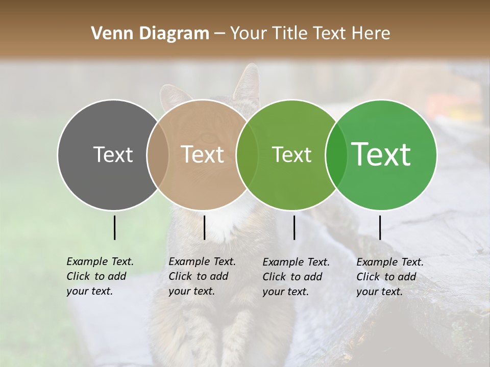 Color Tabby Quiet PowerPoint Template