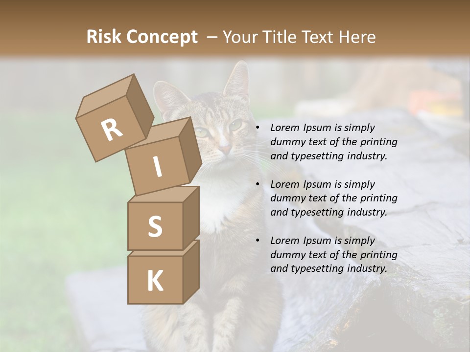 Color Tabby Quiet PowerPoint Template