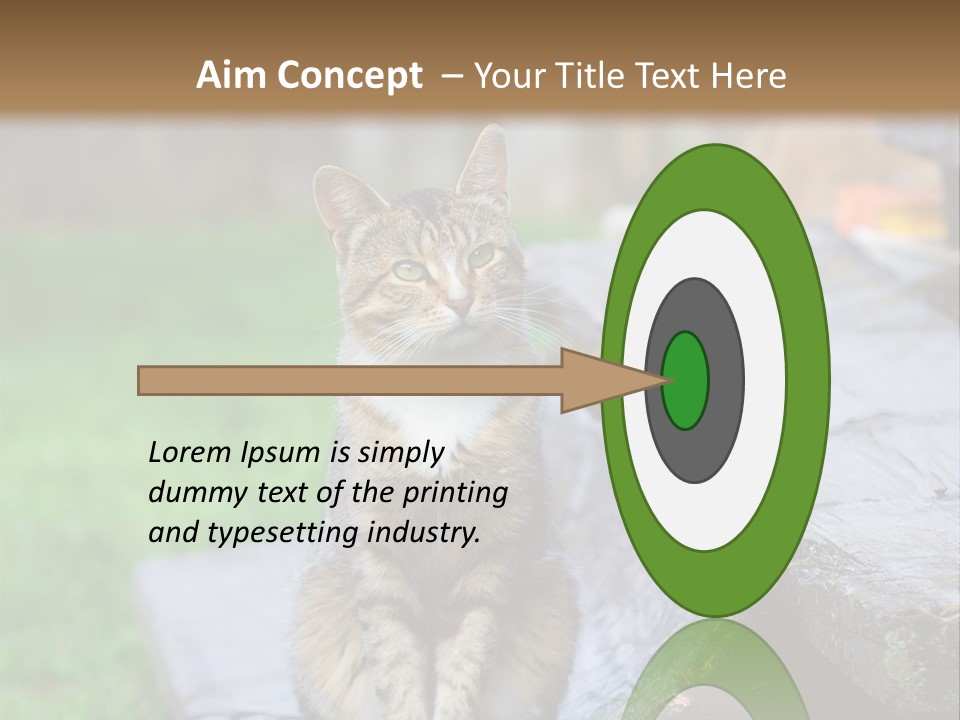 Color Tabby Quiet PowerPoint Template