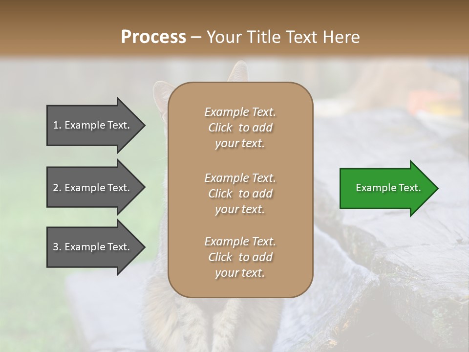 Color Tabby Quiet PowerPoint Template