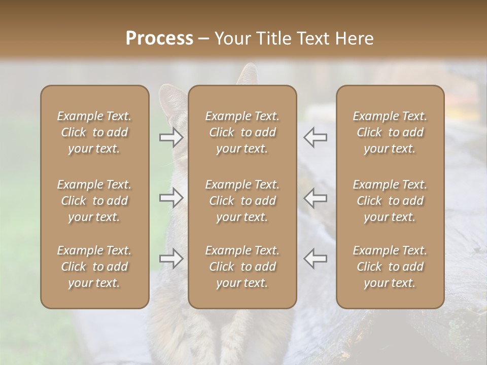 Color Tabby Quiet PowerPoint Template