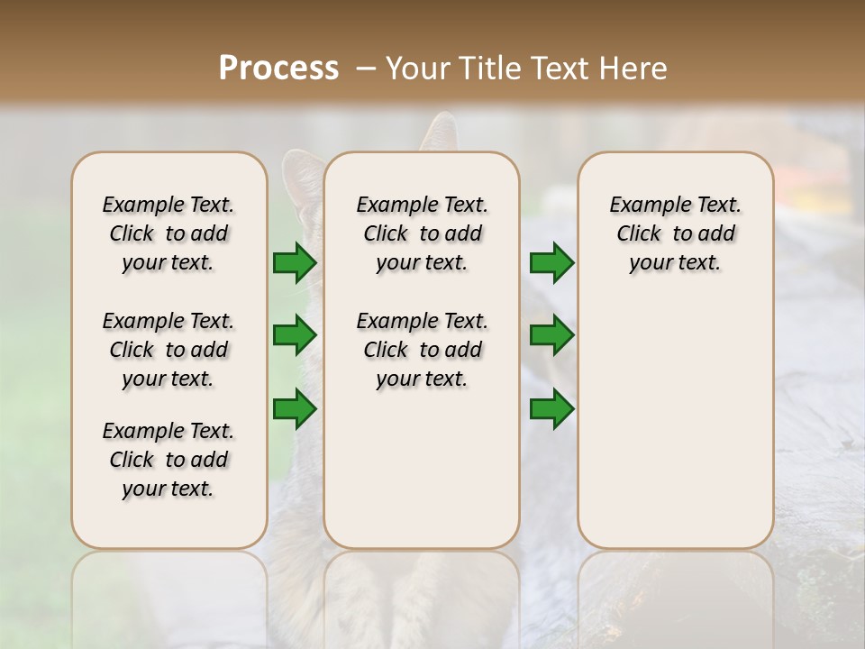 Color Tabby Quiet PowerPoint Template