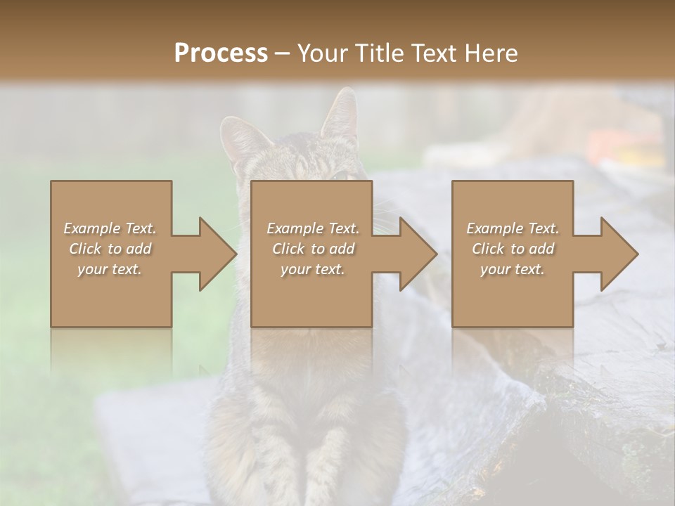 Color Tabby Quiet PowerPoint Template