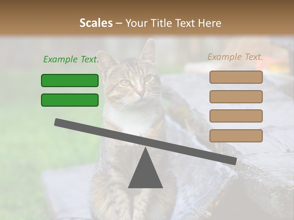 Color Tabby Quiet PowerPoint Template