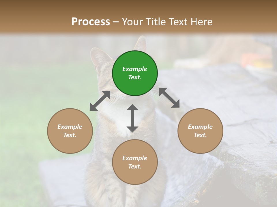 Color Tabby Quiet PowerPoint Template