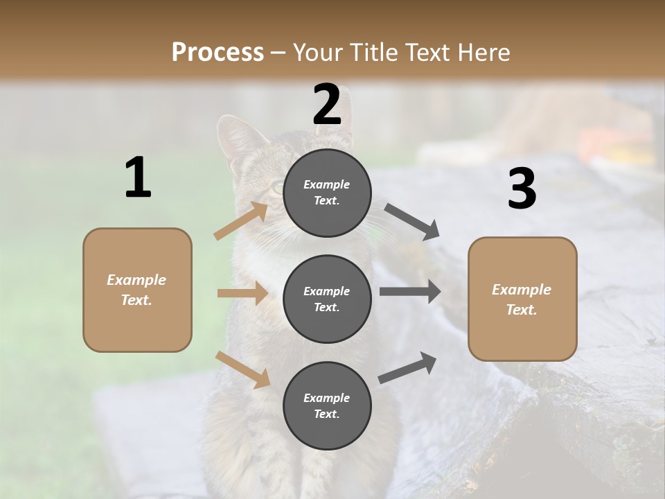 Color Tabby Quiet PowerPoint Template