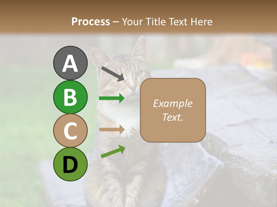 Color Tabby Quiet PowerPoint Template
