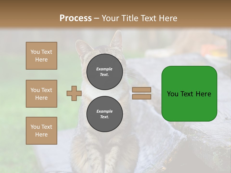 Color Tabby Quiet PowerPoint Template
