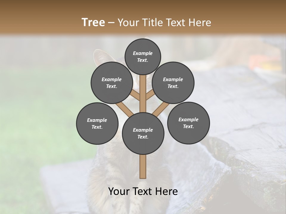 Color Tabby Quiet PowerPoint Template